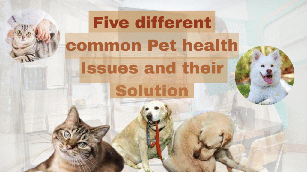 Pets Wellness